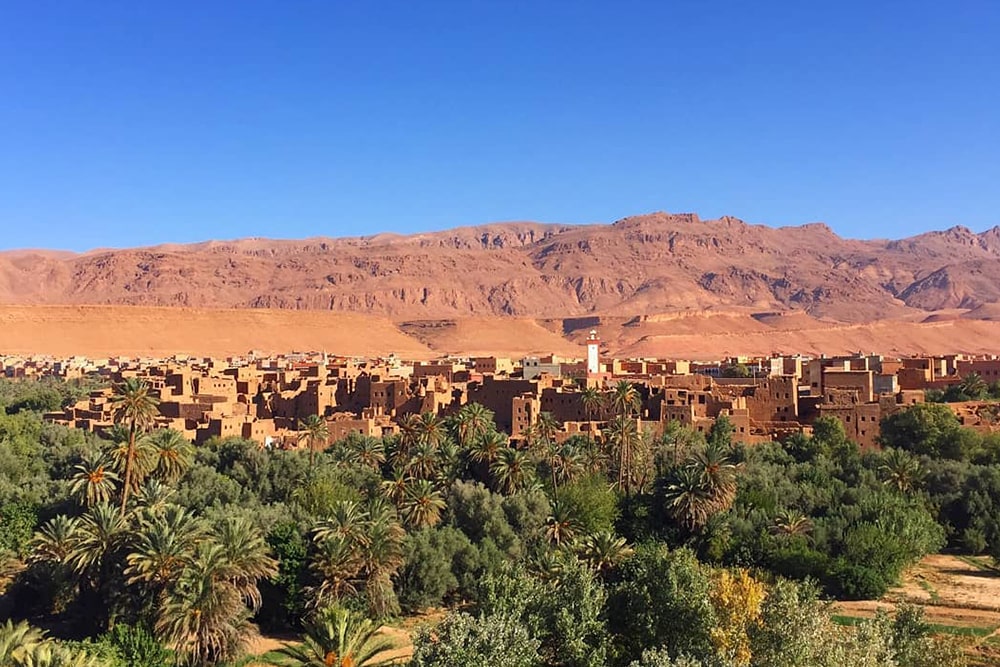 AdventureRockMorocco.com Tinghir Mountains And Kasbahs And the Fields